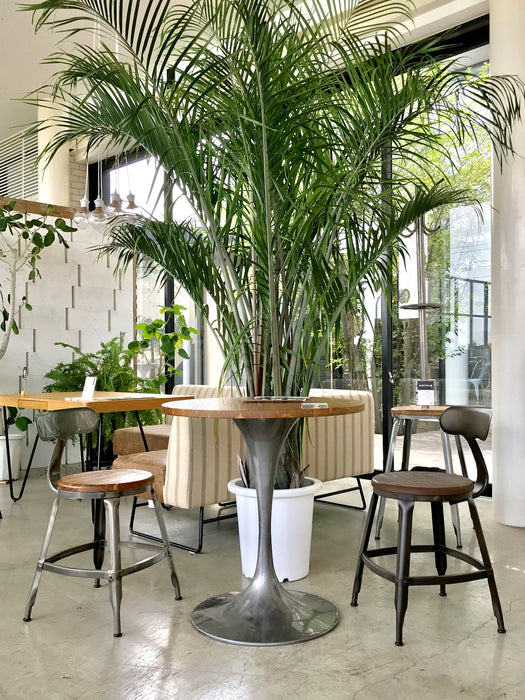 3010  TABLE